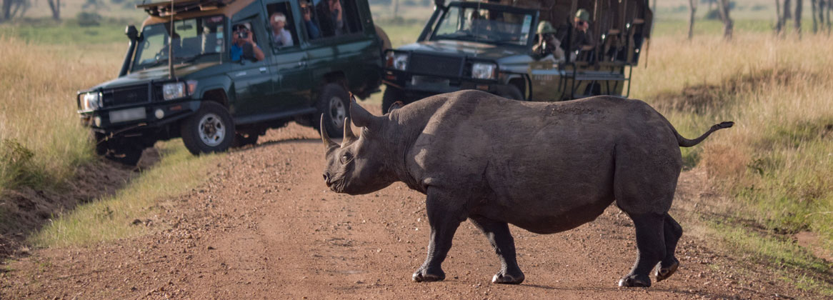 Safari, randonnée et désert de Namibie