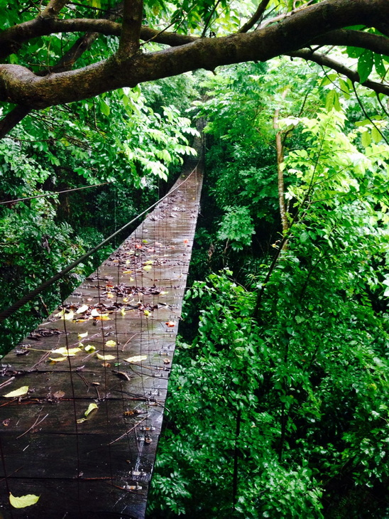 Voyage sur-mesure, Exploration de la jungle des Tuxtlas