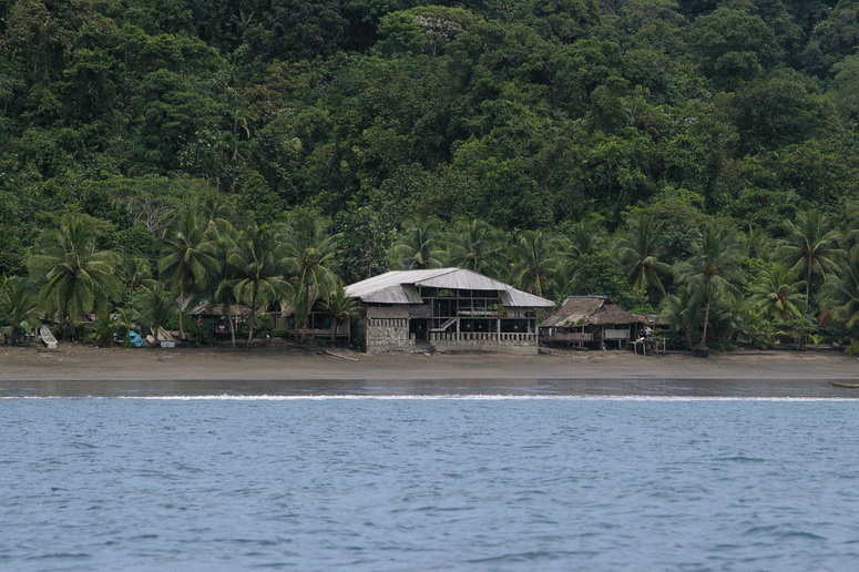 Voyage sur-mesure, Observation des baleines du Pacifique