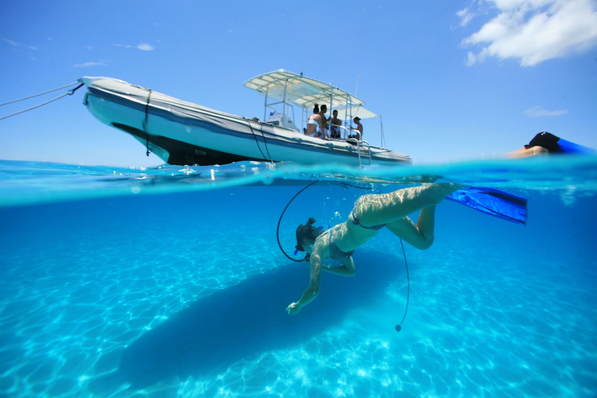 Voyage sur-mesure, Observation des baleines et des dauphins à Papeete