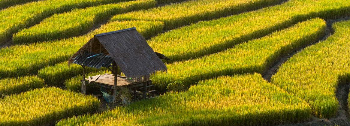 Voyage sur-mesure, Voyage de noces en Thaïlande