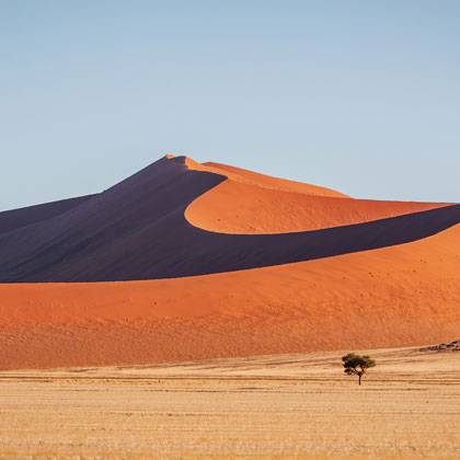 Safari, randonnée et désert de Namibie