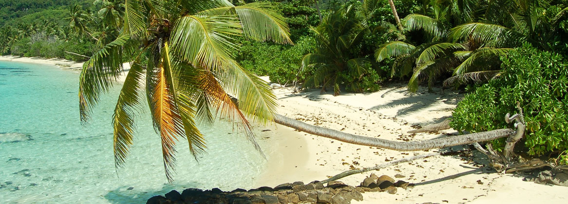 Combiné Afrique du Sud et les Seychelles : safaris et plages