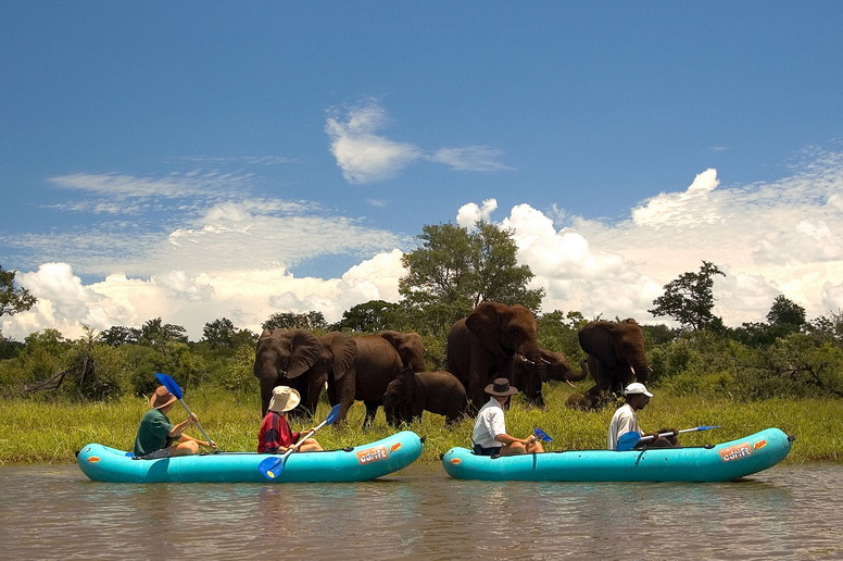 Voyage sur-mesure, Voyage safari de luxe au Zimbabwe