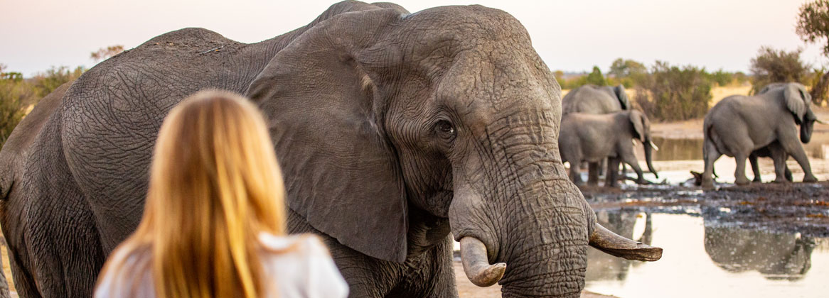 Un voyage en famille en Namibie