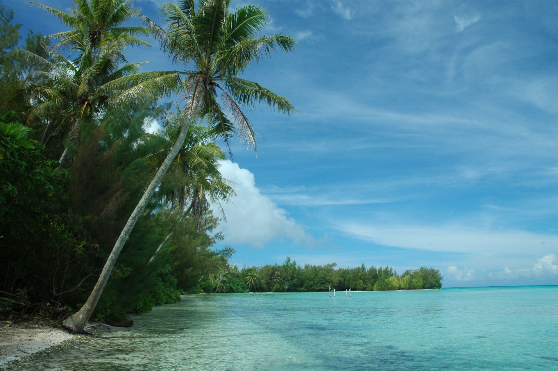Voyage sur-mesure, Exploration de Tahiti aux Iles Australes