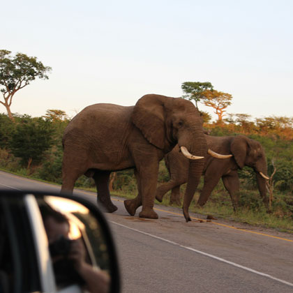 L’Afrique du Sud en voiture de location