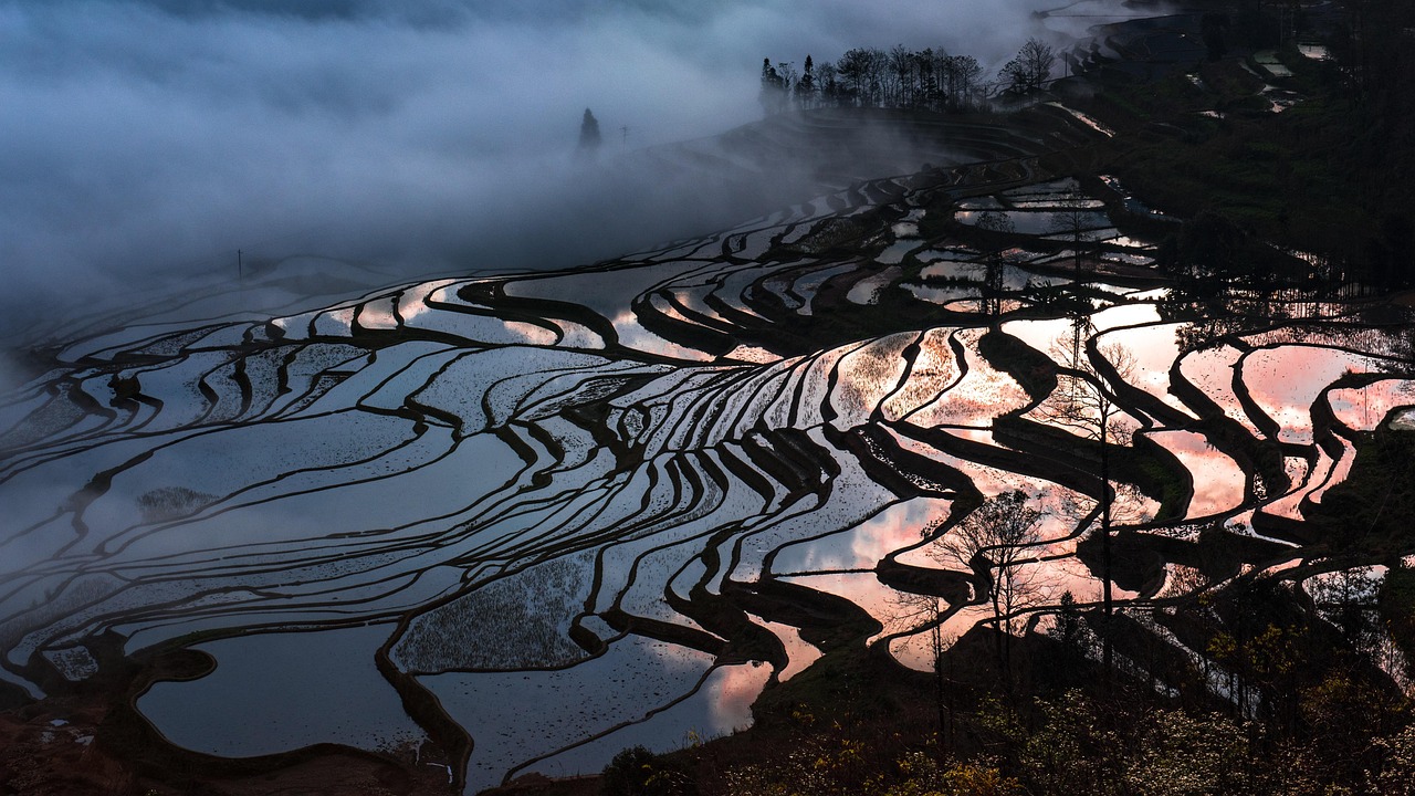 Voyage sur-mesure, Dali à Shangri-La et les rizières en terrasse du Yuanyang