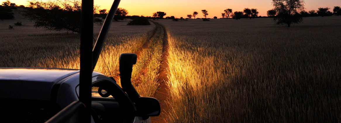 La Tanzanie en safari en français du Nord au Sud