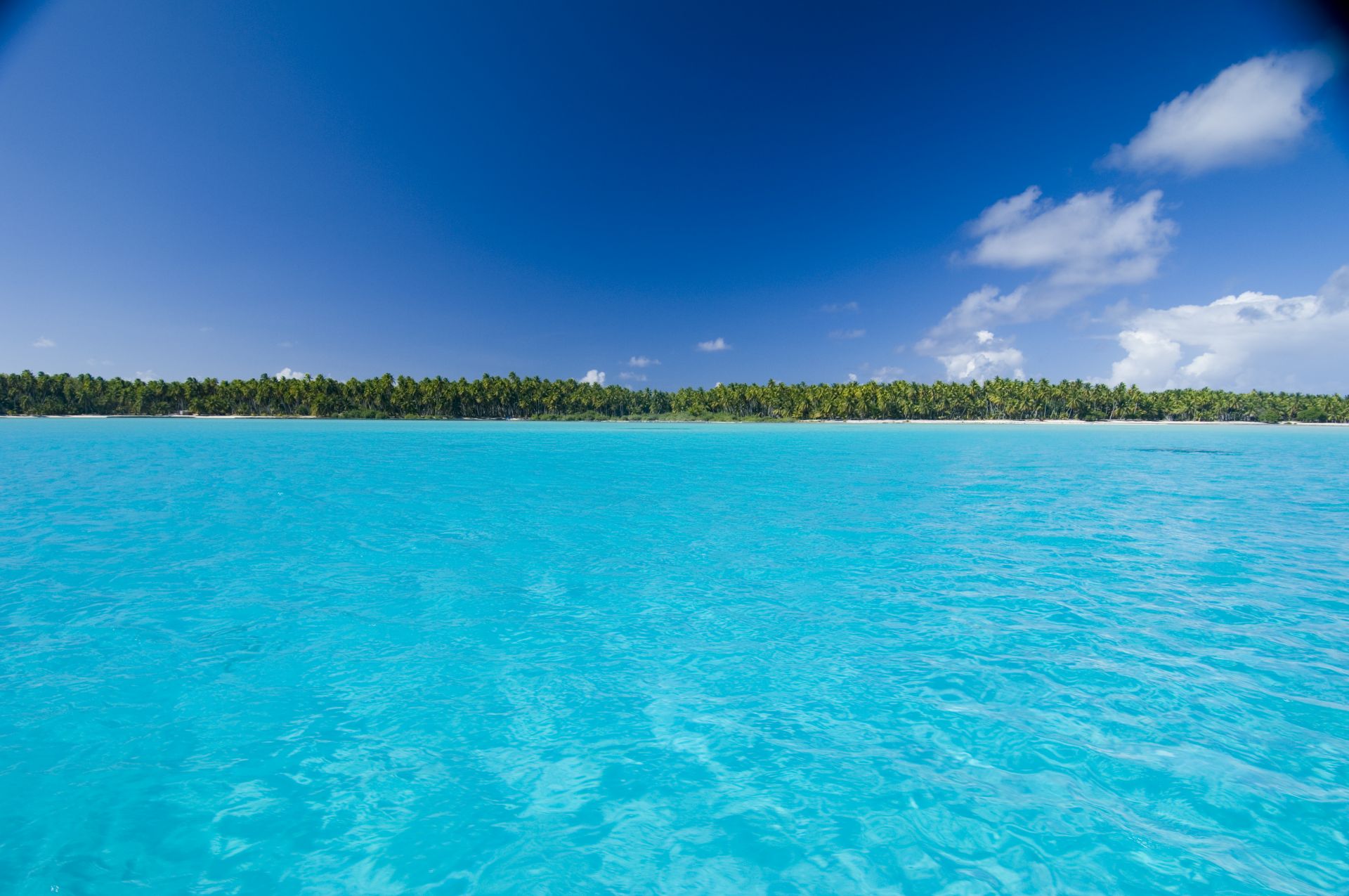 Voyage sur-mesure, Santiago - Ile de Pâques - Tahiti - Auckland - Sydney - Johannesburg