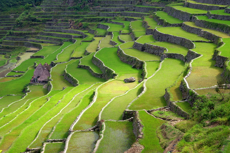 Voyage sur-mesure, Combiné deux îles aux Philippines : Luzon et Mindoro