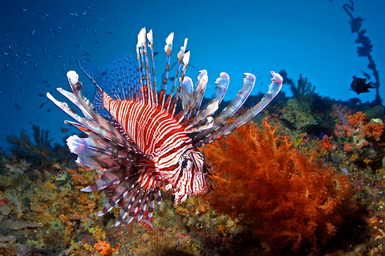 Voyage sur-mesure, Entre mer et forêt tropicale : la province de Palawan