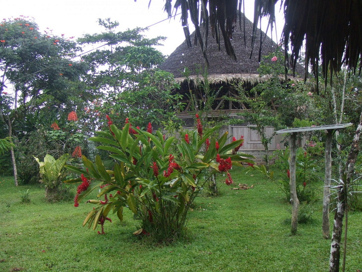 Voyage sur-mesure, Volcans, réserves et plages : le grand tour du Costa Rica