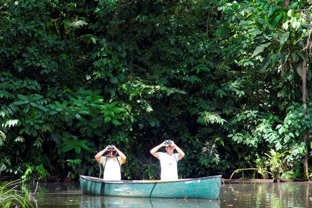Voyage sur-mesure, Séjour en pleine nature sur les bords du Rio San Carlos