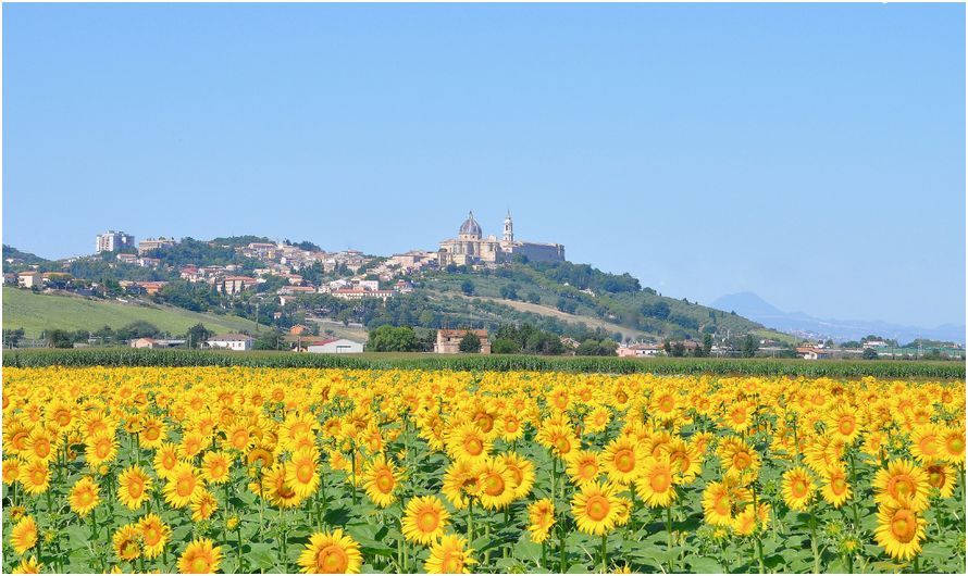 Voyage sur-mesure, De la Toscane à l'Ombrie jusqu'à la mer
