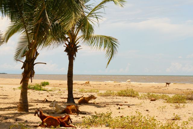 Voyage sur-mesure, La Colombie au naturel