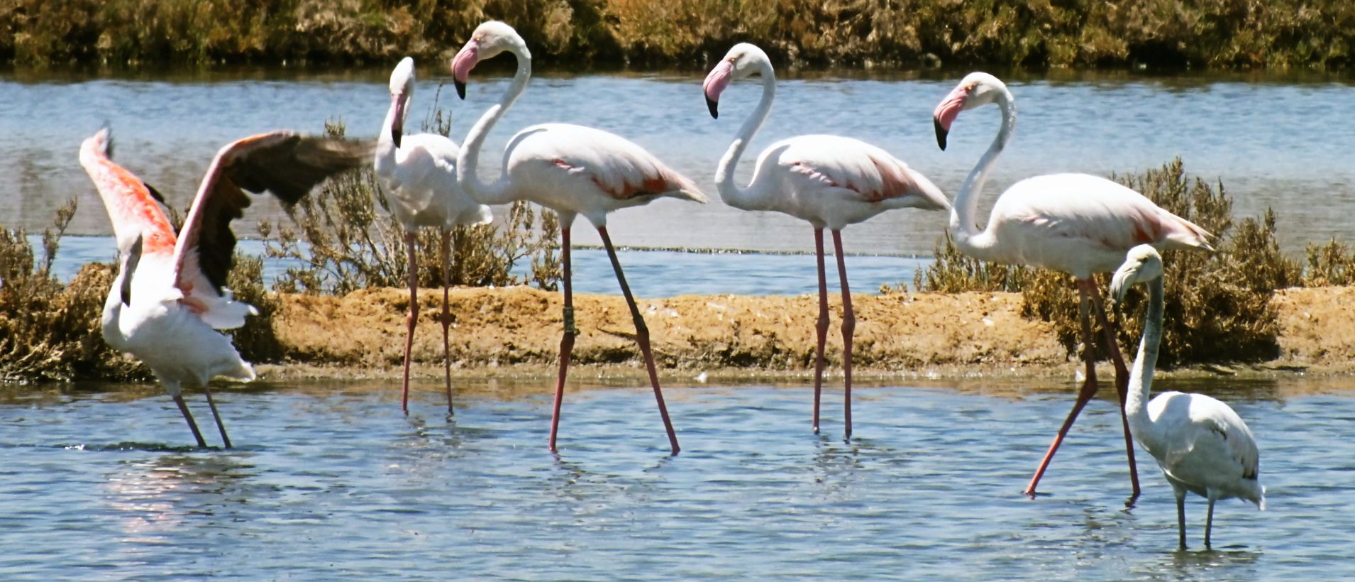 Voyage sur-mesure, Séjour exclusif au coeur de l'Algarve