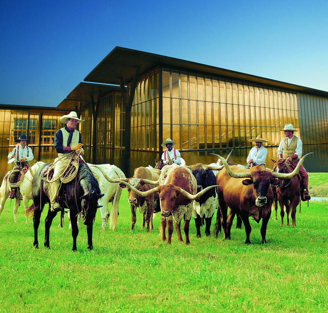 Voyage sur-mesure, Découverte du Texas et sa culture