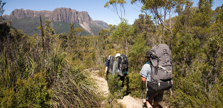 Autotour et Randonnée en Tasmanie sur la piste de l'Overland Track
