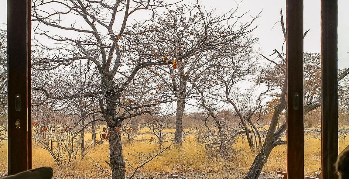 Voyage sur-mesure, Lodge nature aux portes d'Etosha...