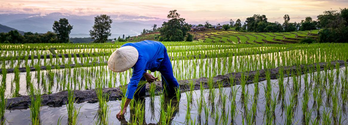 Découverte Cambodge du Sud et Vietnam du Sud
