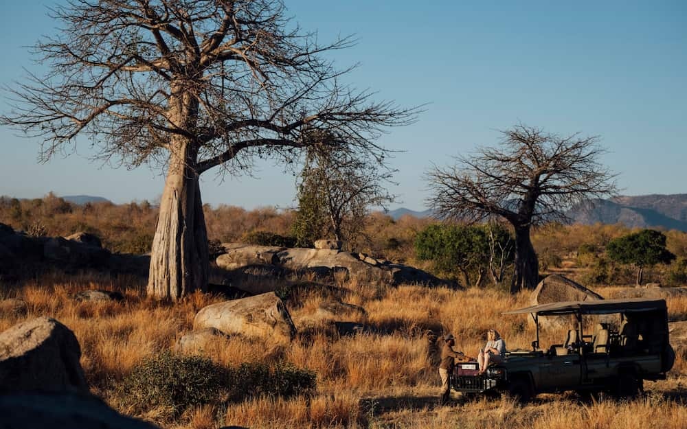 Voyage sur-mesure, L'essentiel des Parcs de Tanzanie du Sud