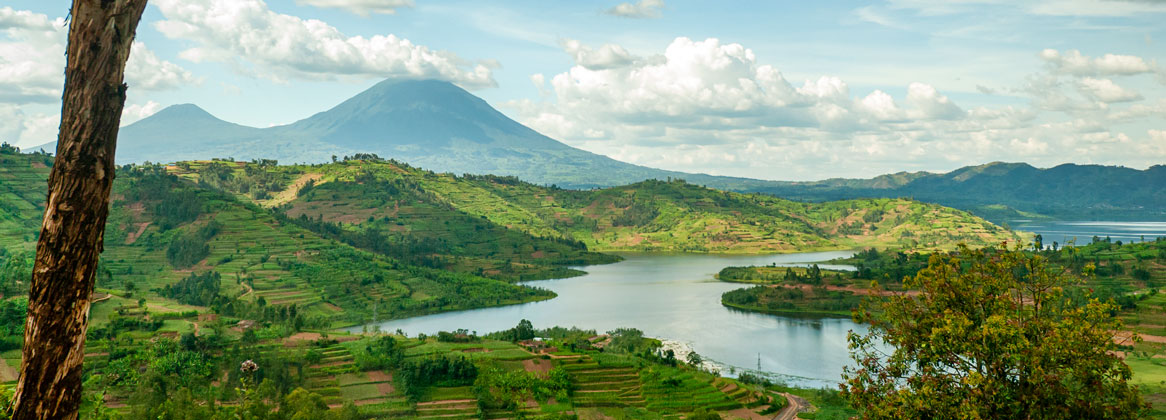 Les incontournables de l'Ouganda en deux semaines