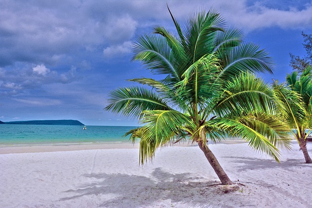 Voyage sur-mesure, Expérience de luxe sur une île paradisiaque