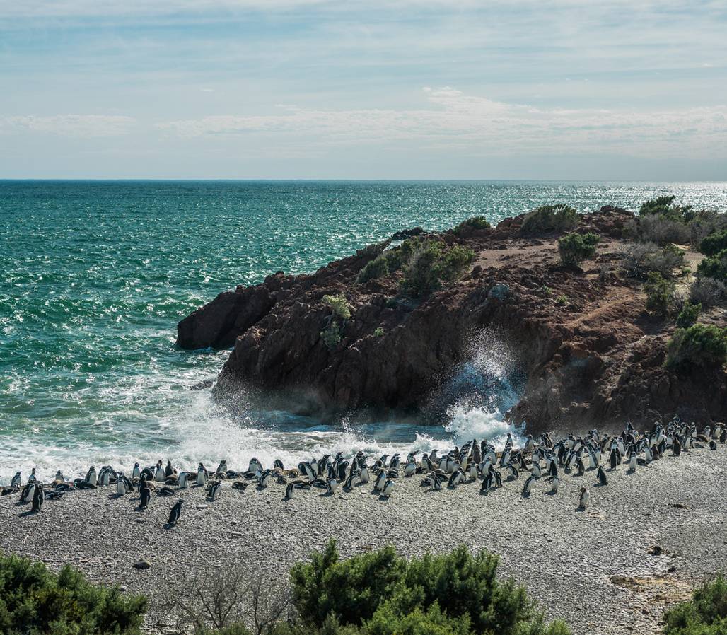 Voyage sur-mesure, L'Argentine en famille
