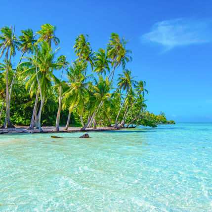 Voyage sur-mesure, Exploration de Tahiti aux Iles Australes