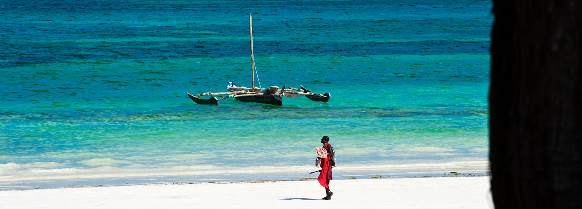 Des grands parcs du Kenya vers l'Océan indien