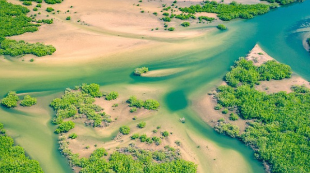 Voyage sur-mesure, Voyage de noces au Sénégal: luxe & charme en bord de plage