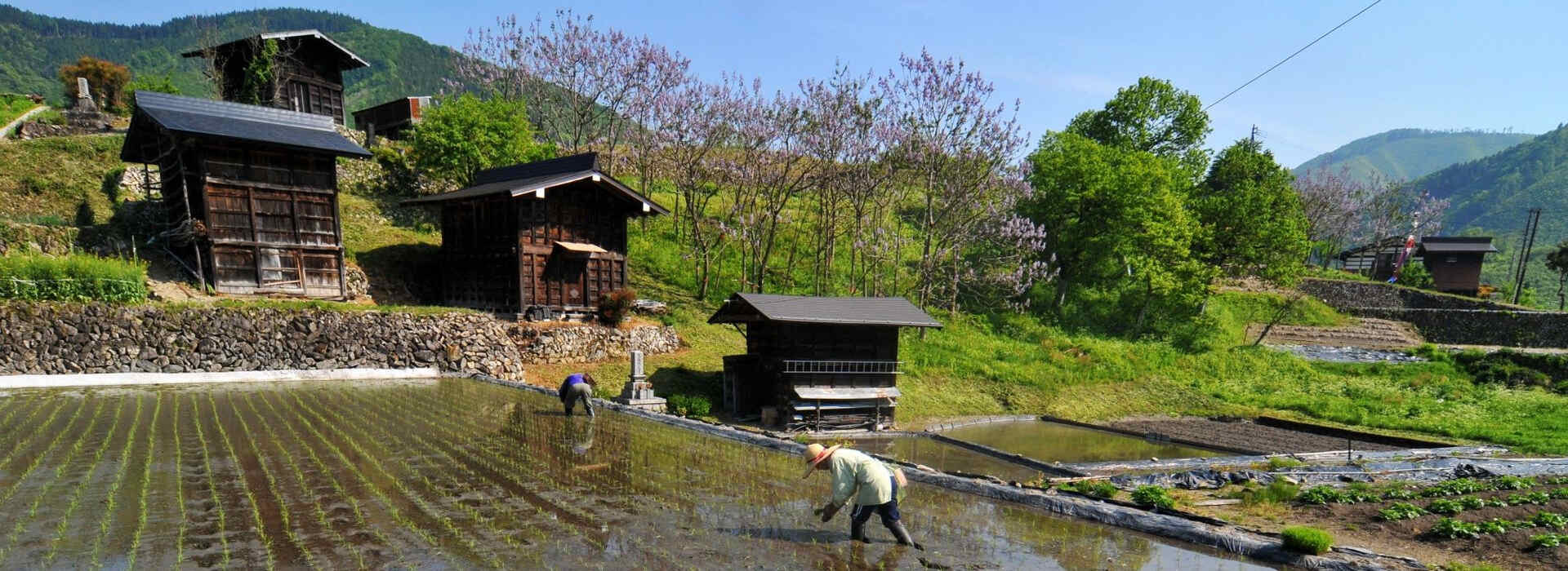 Voyage sur-mesure, Visite en vélo du village d'Hida Furukawa