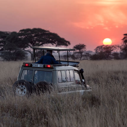 Voyage sur-mesure, Safari de luxe en Tanzanie en avion de brousse