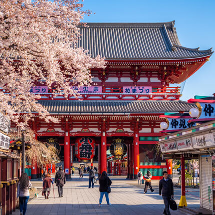 Voyage sur-mesure, A la découverte du Japon: Kyoto et Tokyo