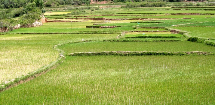 Voyage sur-mesure, Randonnée à la rencontre des paysans des hauts plateaux