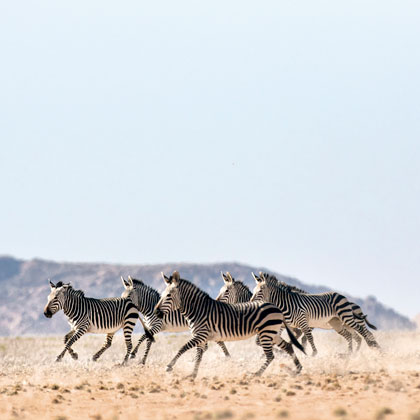 Combiné Afrique du Sud - Namibie : Voyagez du Cap au Namib !