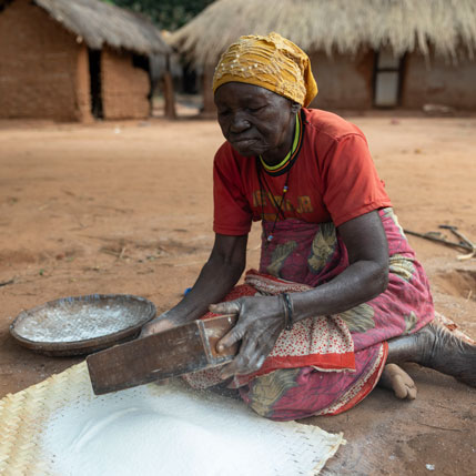 Voyage sur-mesure, Tanzanie : Safari et Rencontres authentiques avec les tribus