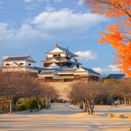 Voyage sur-mesure, Pélerinage sur les routes de Shikoku