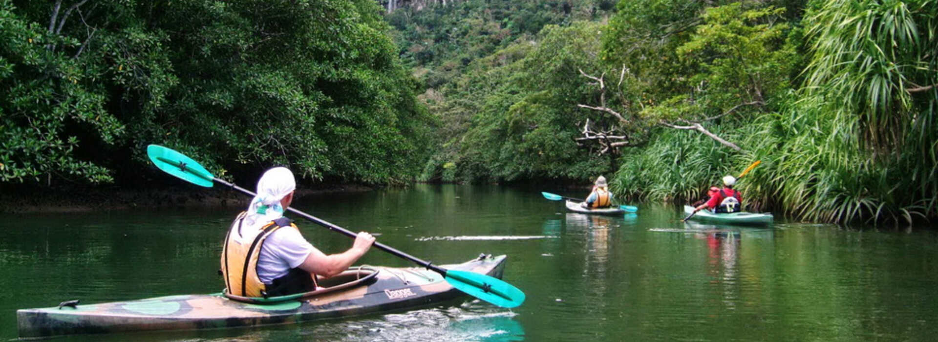 Voyage sur-mesure, Découverte d'Iriomote : kayak, mangrove & snorkelling