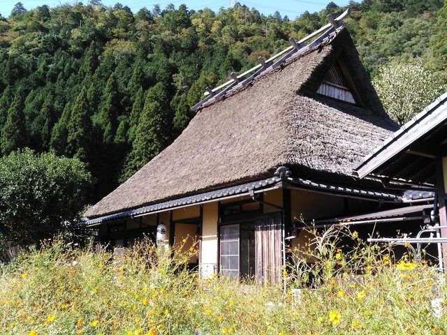 Voyage sur-mesure, Minshuku dans le village de Miyama