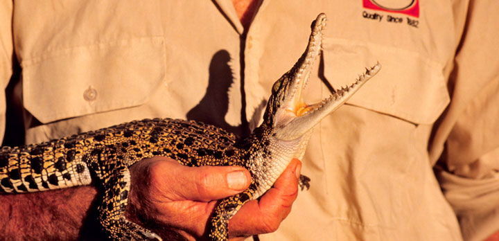 Voyage sur-mesure, La traversée de L'Australie sauvage: les Kimberleys de Broome à Darwin