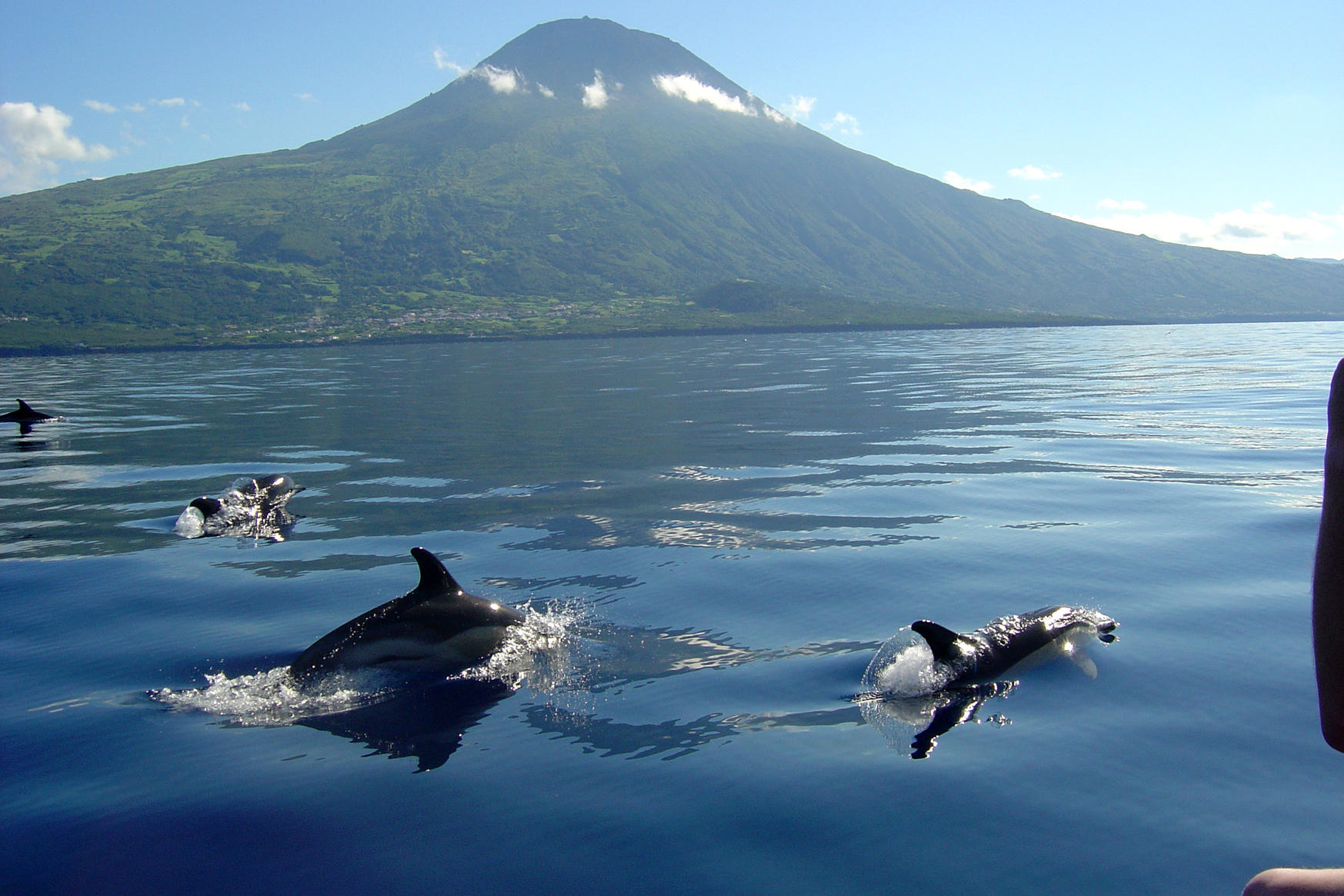 Voyage sur-mesure, Sao Miguel et les autres îles : Faial, Pico et Sao Jorge