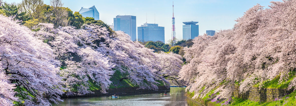 Voyage de Noces Japon : Tokyo, Mt Fuji, Kyoto et farniente sur l'île de Miyako