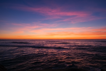madeira yuval levy on unsplash 350x250.jpg