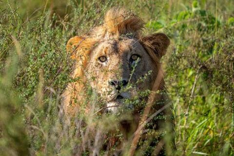 @visitrwanda