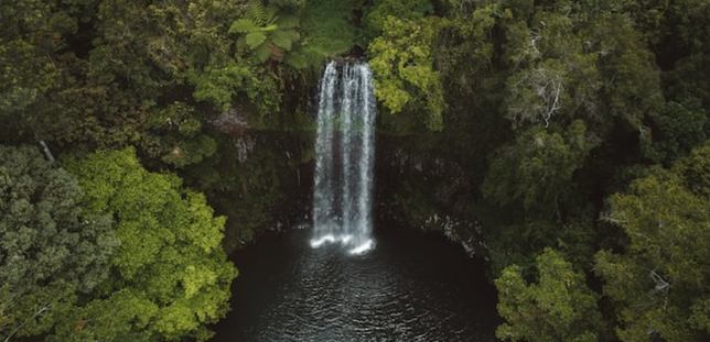Photo de Bailey Cullen sur Unsplash