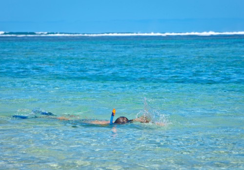 snorkeling09 - CREDIT IRT - cedric_etienne