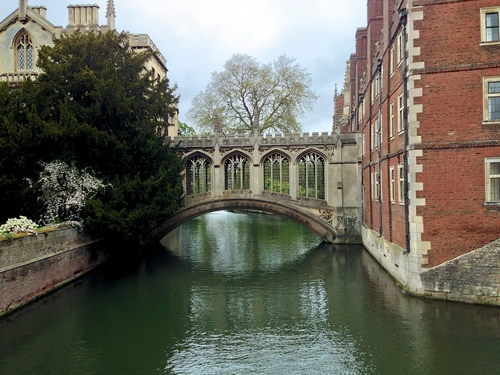 cambridge - Graham Hodgson on Pixabay 500 .jpg