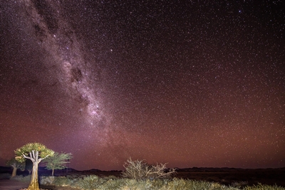 namibie etoiles - Ton W on Pixabay 400.jpg